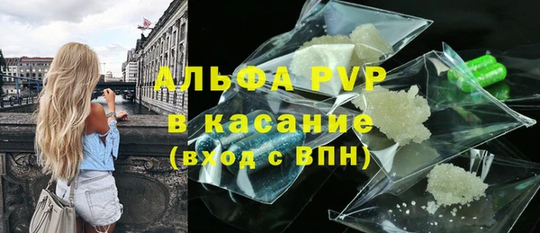твердый Абаза