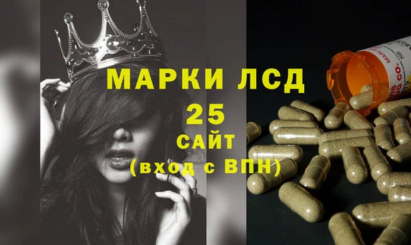 ГАЛЛЮЦИНОГЕННЫЕ ГРИБЫ Дмитров