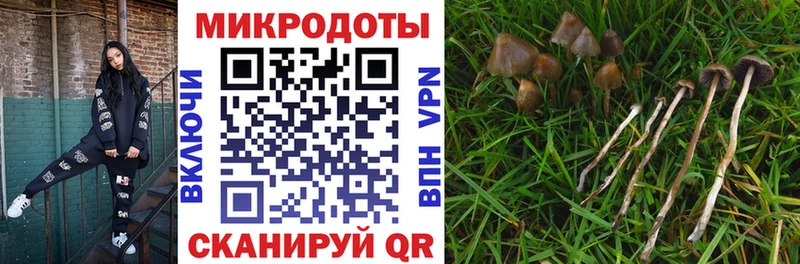 нарко площадка официальный сайт  Уржум  Псилоцибиновые грибы GOLDEN TEACHER 